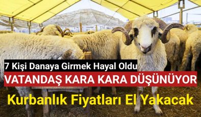 Kilis Kurbanlık fiyatları belli oldu