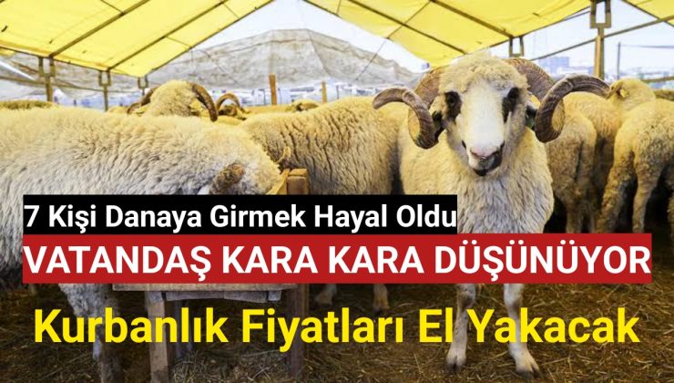 Kilis Kurbanlık fiyatları belli oldu