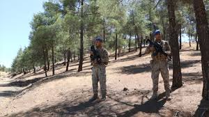 Kilis’te Orman Yangınlarına Karşı Geniş Kapsamlı Önlemler: Girişler Yasaklandı, Jandarma Devriyeleri Sıklaştı!