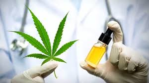 Tıbbi Kenevir Eczanelerde Satışa Sunuluyor: Yeni Dönem Başladı